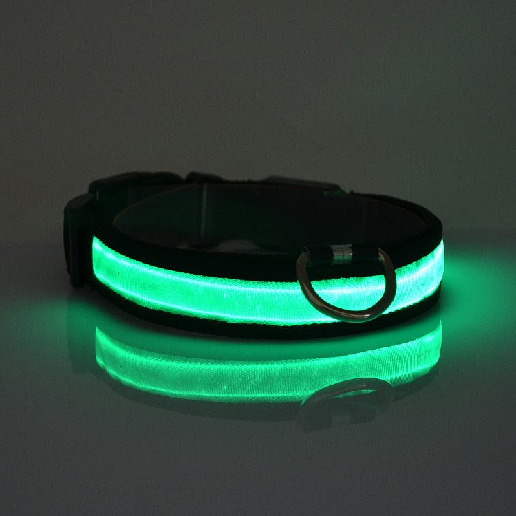 Night Safety LED Dog Collar