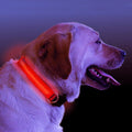 Night Safety LED Dog Collar