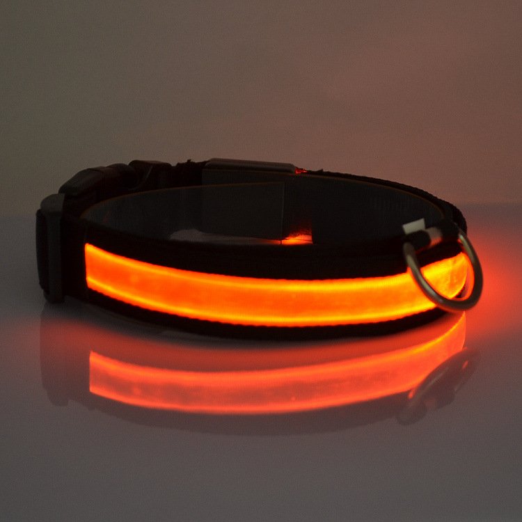 Night Safety LED Dog Collar